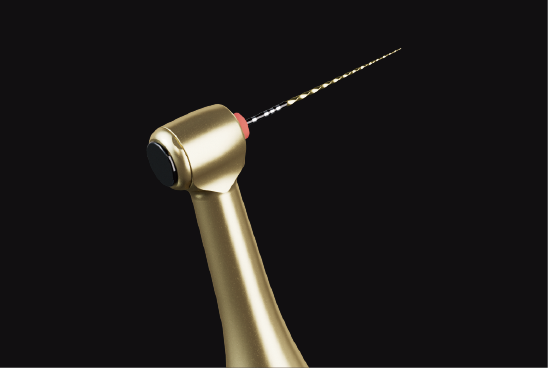Tête Contre Angle EM
